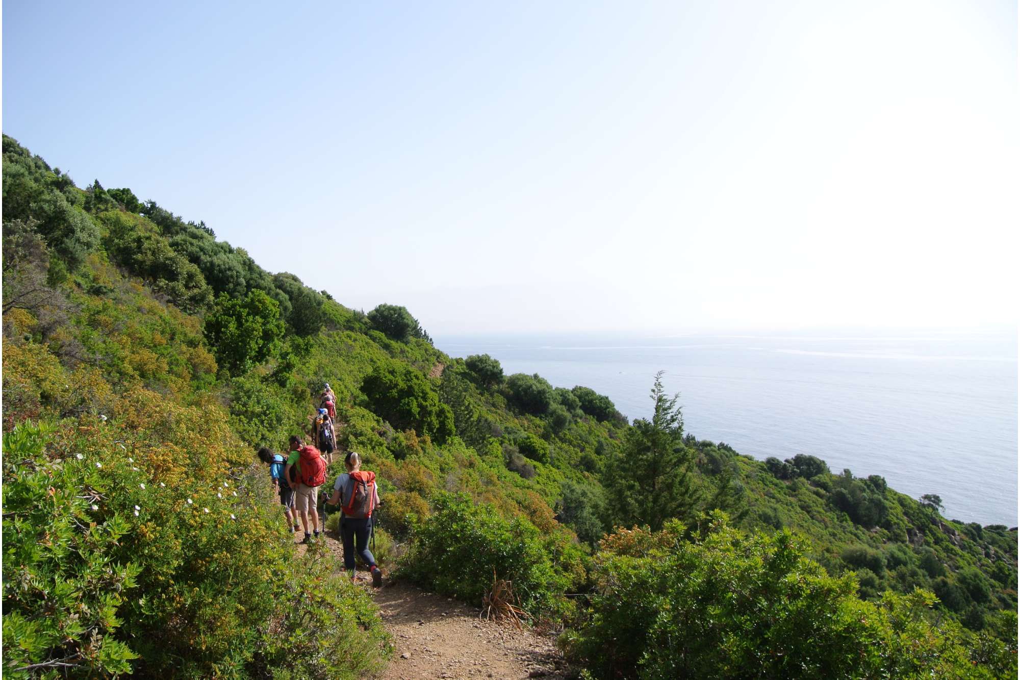 Selvaggio Blu, il trekking nella Sardegna selvaggia — foto 1