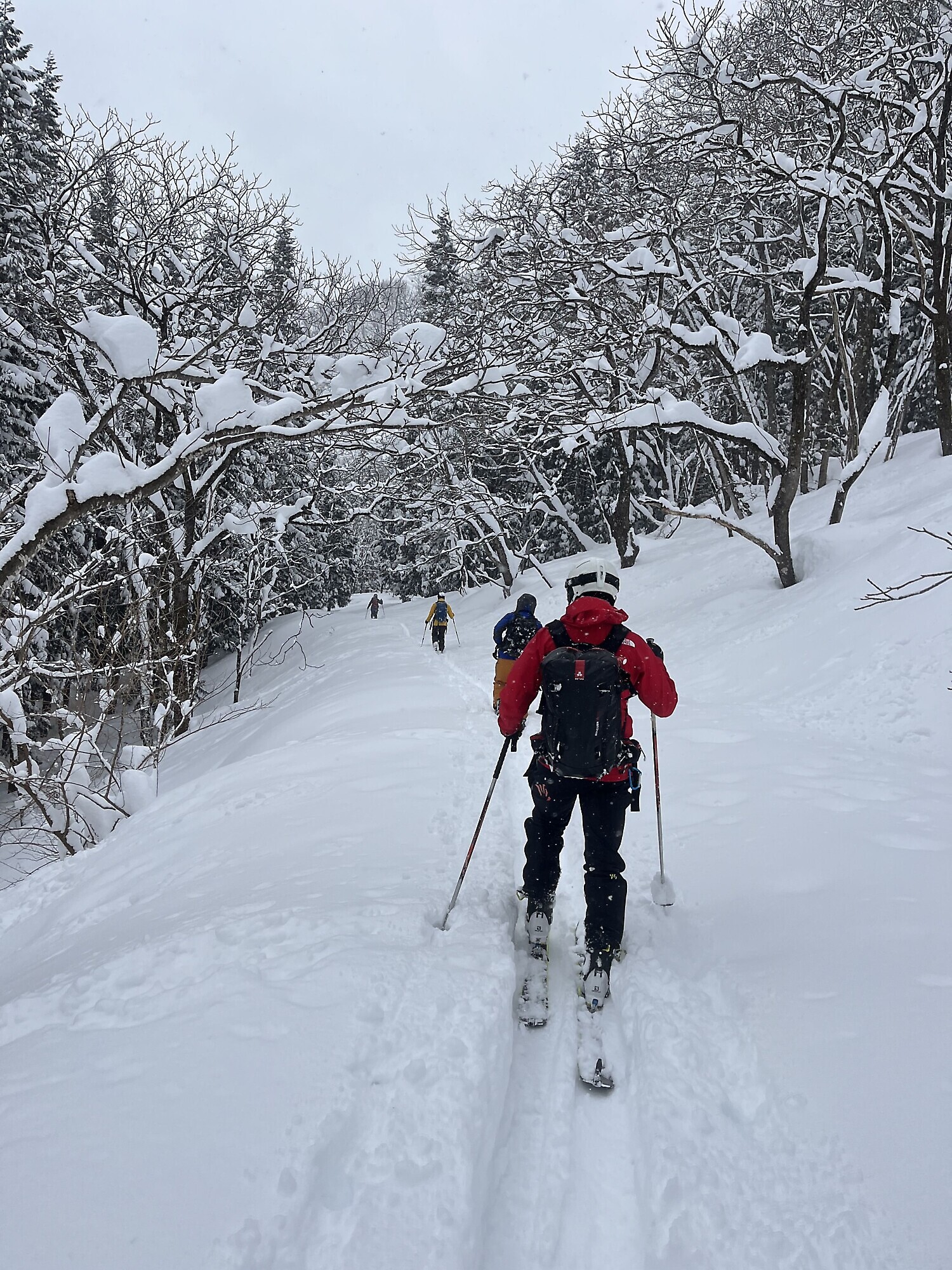 Hakuba, il paradiso dello scialpinismo e del freeride — foto 2