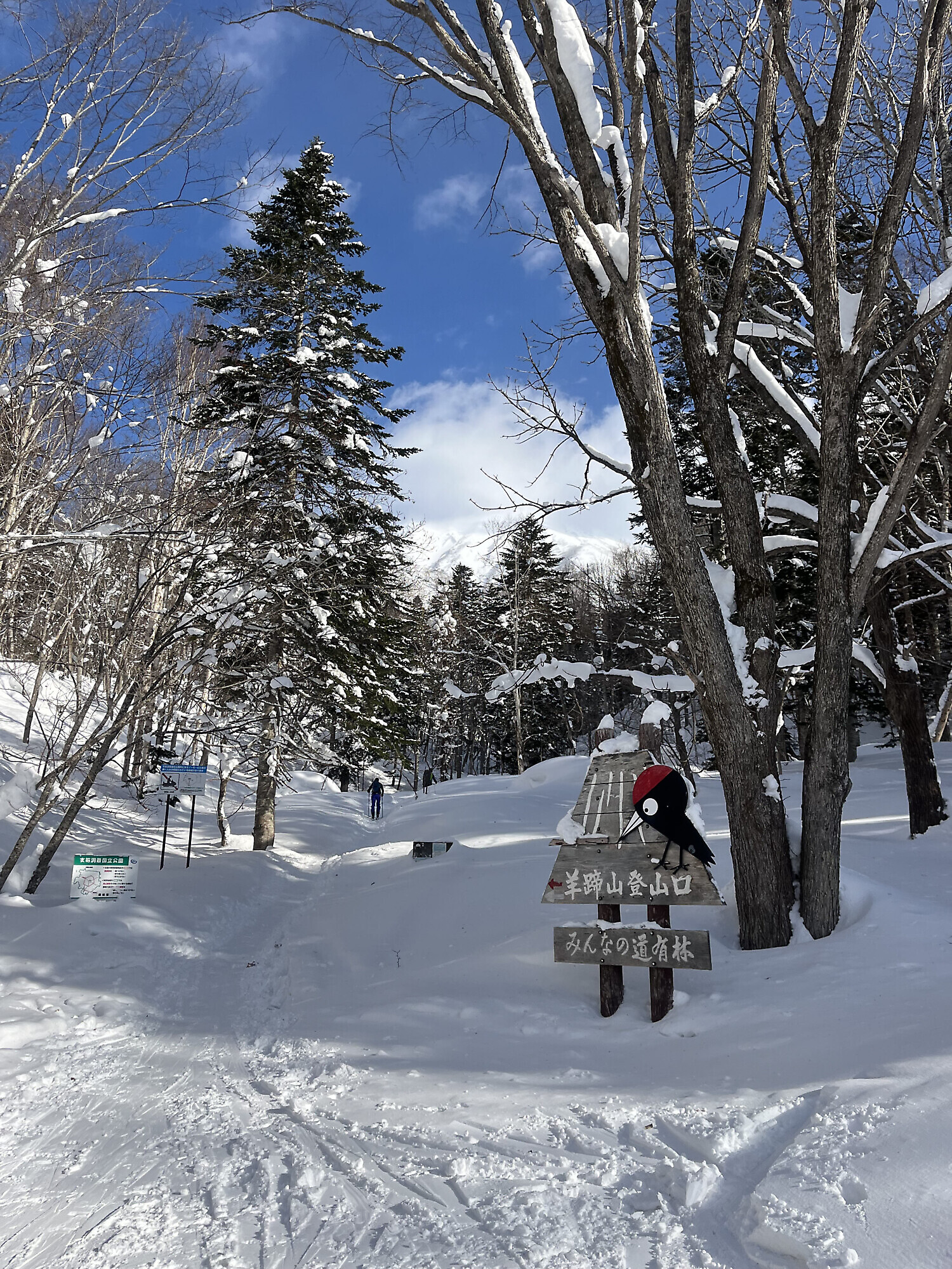 Hakuba, il paradiso dello scialpinismo e del freeride — foto 1