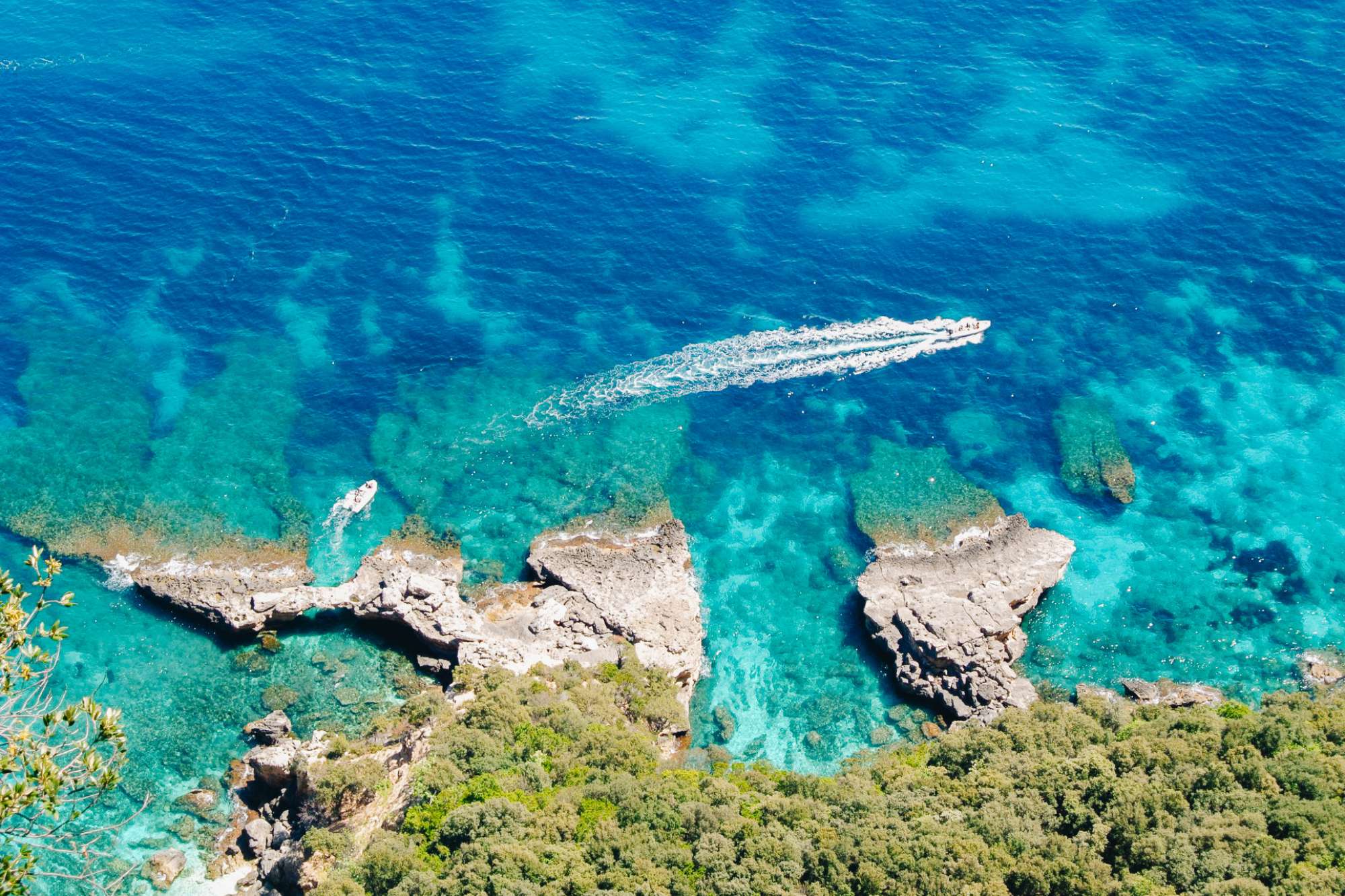 Selvaggio Blu Extreme — foto 1