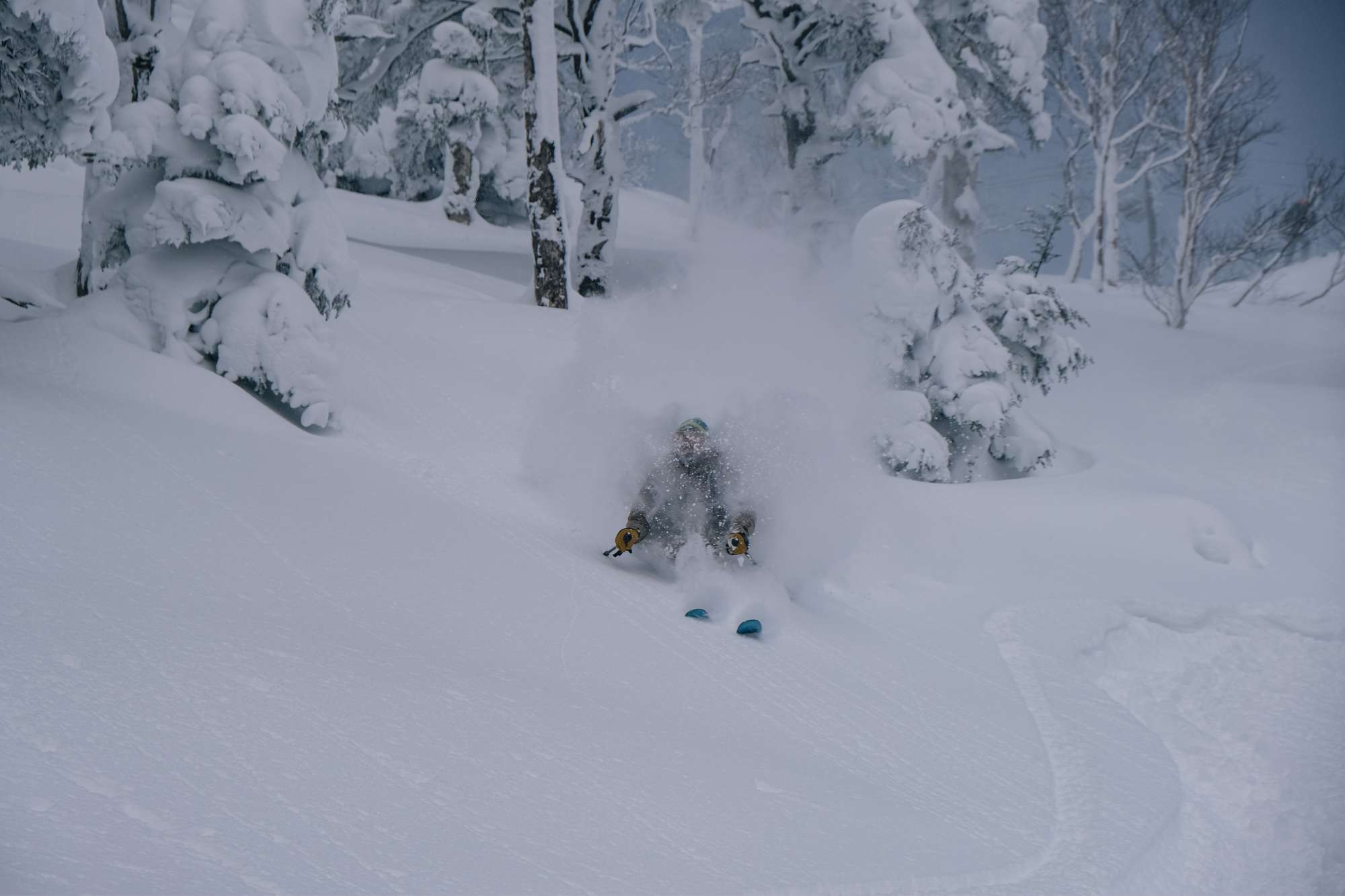 Freeride e scialpinismo nell'Hokkaido — foto 3