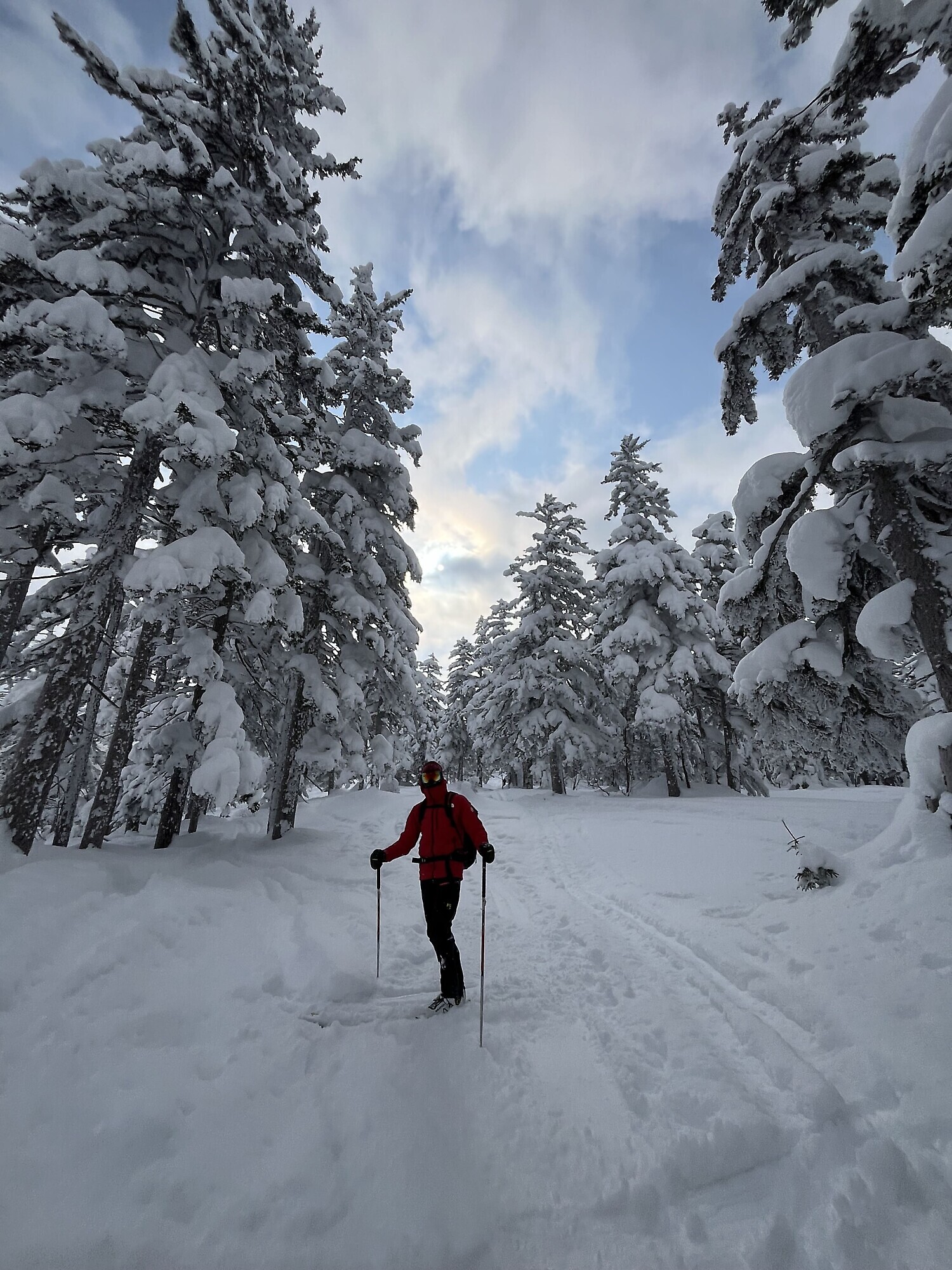 Hakuba, il paradiso dello scialpinismo e del freeride — foto 3