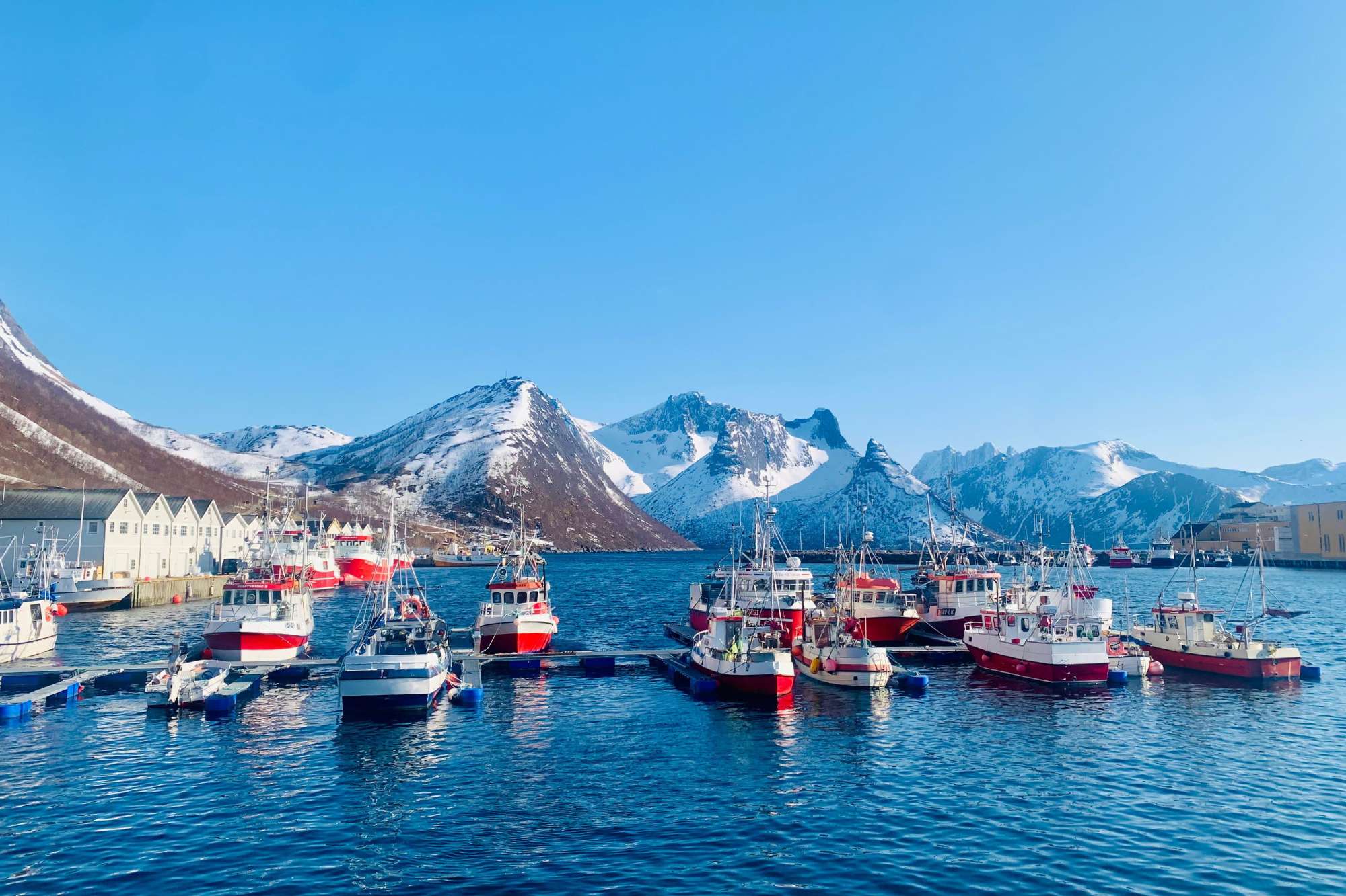 Scialpinismo a Senja, l'isola magica a nord del Circolo Polare Artico — foto 2